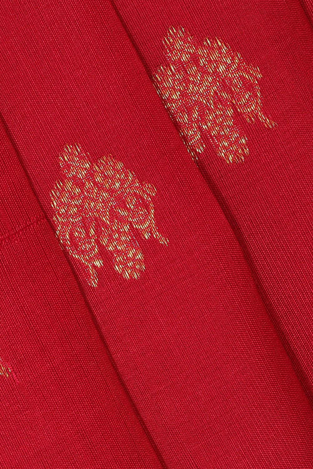 Image of Kanchipattu Red Brocade Saree